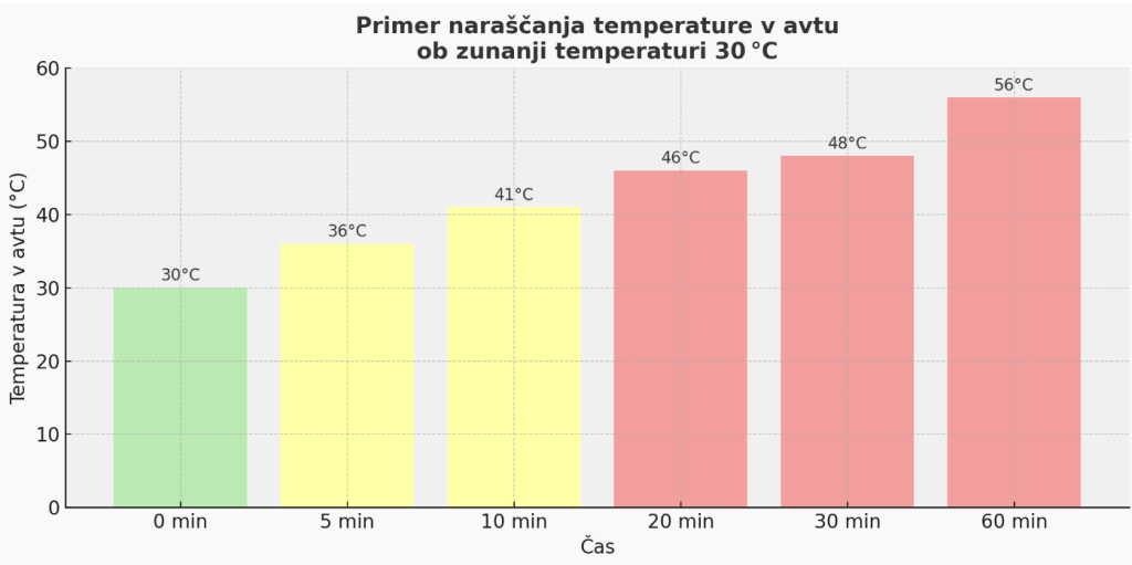 temperatura-v-avtu--1024x511.png